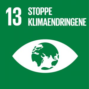 Mål nr 13 - Stoppe klimaendringene