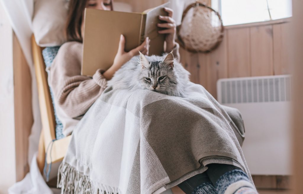 Kvinne koser seg i en lenestol ved siden av en hvit panelovn og leser en bok. På fanget har hun et pledd og en grå langhåret katt koser seg på fanget.